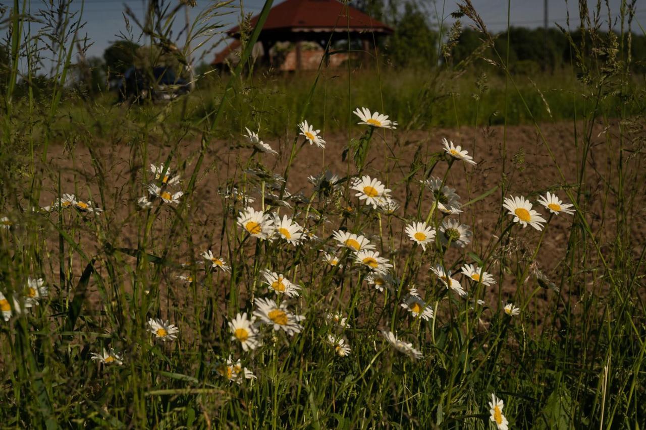 Rustykalne Klimaty Villa Majdan Zbydniowski Exteriör bild